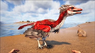 方舟生存进化始祖鸟怎么驯服 第1张